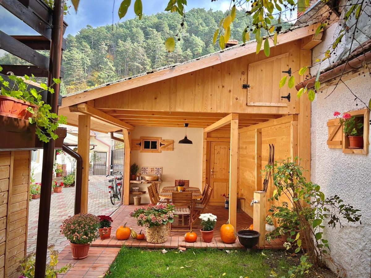 Victoria Gasthaus Rasnov - Charming Vacation House In Rasnov Exteriör bild